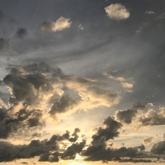 Meet your Posher, Alexandra - Picture 1 of 1